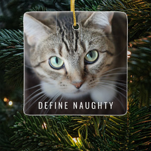 Huisdier definieert stout   Foto Kerstboom Keramisch Ornament