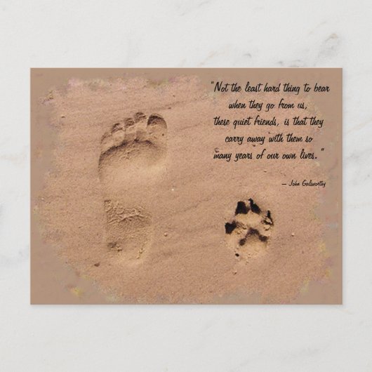 Huisdier & Eigenaar Prints in het Zand Briefkaart (Voorkant)