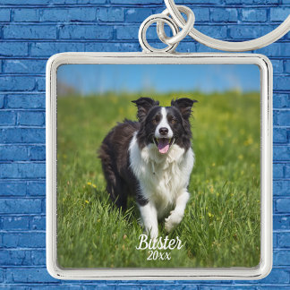 Huisdier Foto Border Collie Personaliseer Sleutelhanger