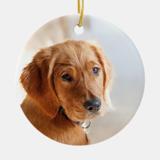 Huisdier Foto Keramisch Ornament (Voorkant)