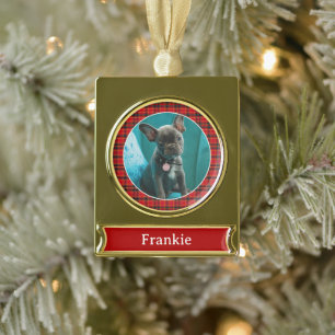 Huisdier Foto & Naam met Rood en Groen Plaid Verguld Banner Ornament