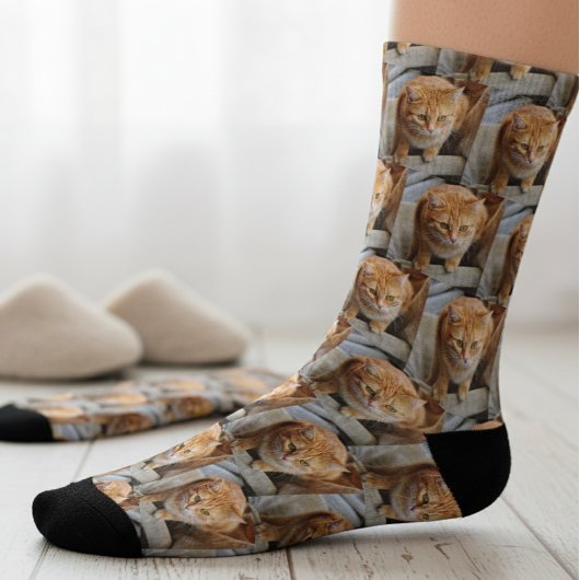 Huisdier Foto Op Maat Gemaakte Pret Honden Kat Sokken