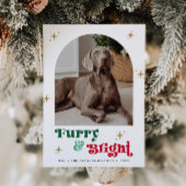 Huisdier Foto Vakantie Kaart Hond Kerst Puppy Furr