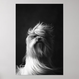 Huisdier Grooming Salon Boutique Yorkshire Portret Poster