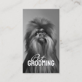 Huisdier Grooming Salon Care Affenpinscher Portret Visitekaartje