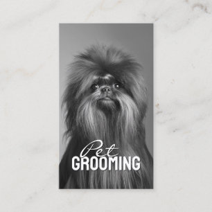 Huisdier Grooming Salon Care Affenpinscher Portret Visitekaartje