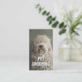 Huisdier Grooming Salon Care Boutique Komondor Por Visitekaartje (Staand voorkant)