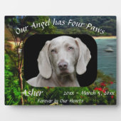 Huisdier-herdenkingsengel met vier poten 0828 fotoplaat (Voorkant)