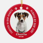 Huisdier-herinnering Kerst Foto Ornament (Voorkant)