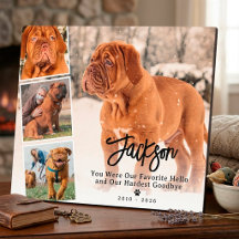 Huisdier Herinneringsfoto Collage Hond of Kat Herd