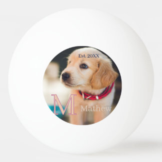 huisdier hond foto ets jaar naam monogram kat oude pingpongballen