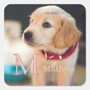 huisdier hond foto ets jaar naam monogram kat oude vierkante sticker