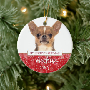Huisdier Hond Kat 2 Foto Eerste Kerst Keramisch Ornament