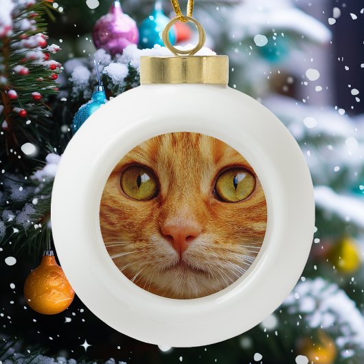 Huisdier hond kat aangepaste foto keramische bal ornament
