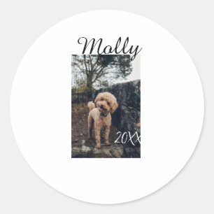Huisdier hond kat dier verjaardag foto modern jaar ronde sticker