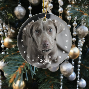 Huisdier Hond Kat Foto Minimalistische Poot Cirkel Keramisch Ornament
