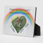 Huisdier Hond Kat Regenboog Brug Foto Op Maat Fotoplaat (Zijkant)