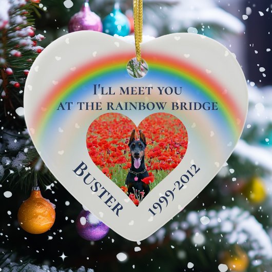 Huisdier Hond Kat Regenboog Brug Foto Op Maat Keramisch Ornament