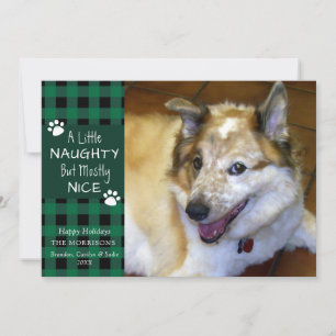 Huisdier Hond Stout en Aardig Groen Zwart Geruit Feestdagenkaart