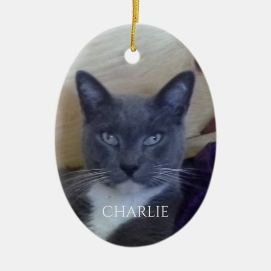 HUISDIER LIEFDE Ovaal Ceramisch Ornament (Voorkant)