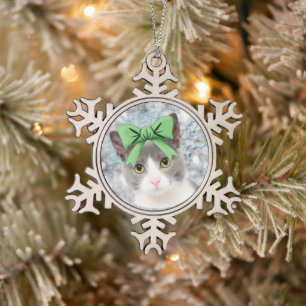 Huisdier Sneeuwvlokje Lijst Ornament