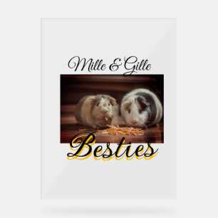 Huisdier vrienden besties voeg naam toe huisdier f acryl bord