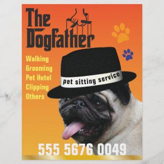 Huisdier Zitten 🐾 Dogfather Dog Walker Betrouwbaa