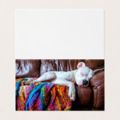 Huisdier Zittende Zakenhond Slapen op de bank Visitekaartjes (Buitenkant ongevouwen)