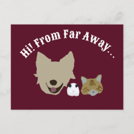 Huisdieren die bij je inchecken briefkaart