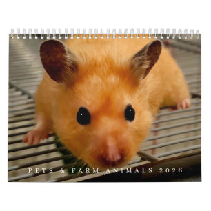 Huisdieren en boerderijdieren 2026 kalender