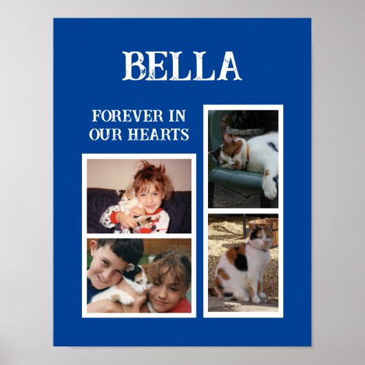 Huisdieren katten 4 foto collage naam toevoegen bl poster (Voorkant)