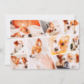 Huisdieren Modern Eenvoudig Aangepast 9 Afbeelding Feestdagenkaart (Voorkant)