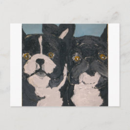 huisdieren van eric ginsburg briefkaart