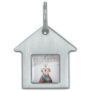 Huisdierentag Huisdieren Naamplaatje