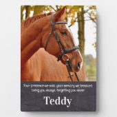 Huisdierherdenking Aandenken Aangepaste huisdier P Fotoplaat (voorkant)