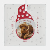 Huisdierherdenking voor altijd in onze harten Foto Glas Ornament (Achterkant)