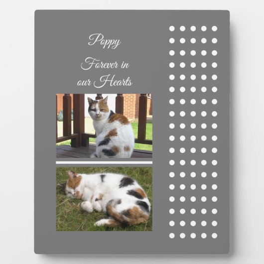 Huisdierherinnering kat grijs en wit foto's toevoe fotoplaat (Voorkant)