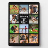 Huisdierherinneringsgeschenk | In liefdevolle heri Fotoplaat (voorkant)