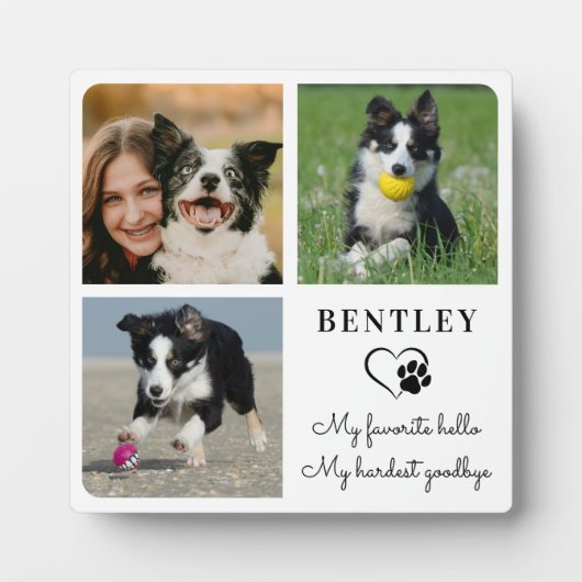 Huisdierhond Gedenkteken Modern Persoonlijk 3 Foto Fotoplaat (Voorkant)