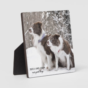 Huisdierhondenfoto Aandenken Fotoplaat