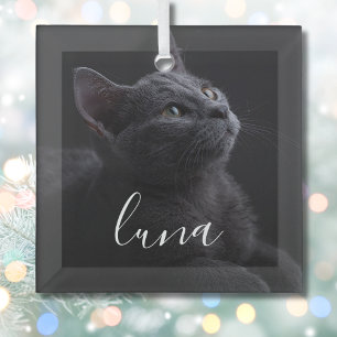Huisdierkat Foto Naam Glas Ornament