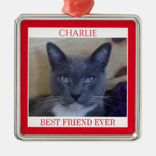 Huisdierliefde Premium vierkante ornament + tekst