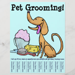 Huisdierverzorging Hond Flyer