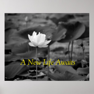 Huiselijk geweld Advocatie Posters III