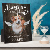 Huisengelenvleugels Foto Fotoplaat (Zijkant)