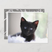 Huishoudelijke afdeling 17 briefkaart (Voorkant / Achterkant)