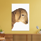 Huishoudelijke lammeren canvas afdruk (Insitu (Woonkamer))