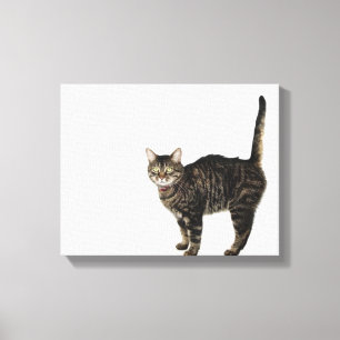 Huishoudelijke mannetjes met staande kat canvas afdruk