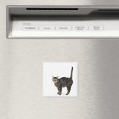 Huishoudelijke mannetjes met staande kat magneet (Insitu (Vaatwasser))