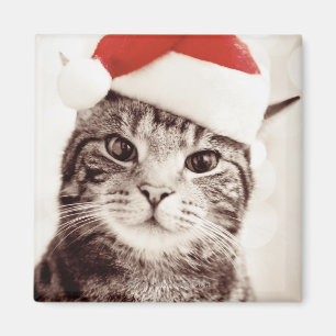 Huishoudelijke tabletkat met rood kerstpet magneet
